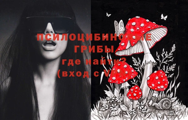 кокаин Горнозаводск