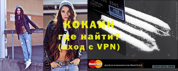 прущие крисы Горняк