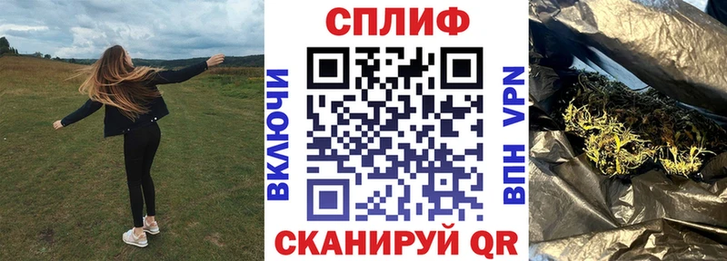 Купить где  Карасук  Конопля гибрид 